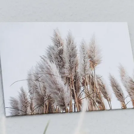 度假居 Gaestehaeuser Heimathafen *