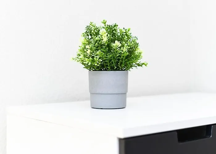 Heimathafen Semesterbostad Bensersiel